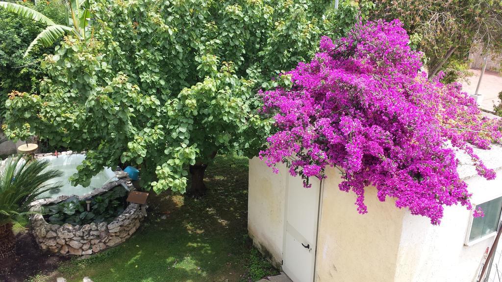 Vento Dell'Est Bed & Breakfast San Cataldo  Bagian luar foto